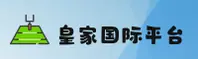 使用指南与常见问题